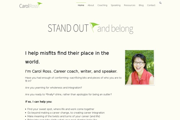 Site using Bt-pro plugin