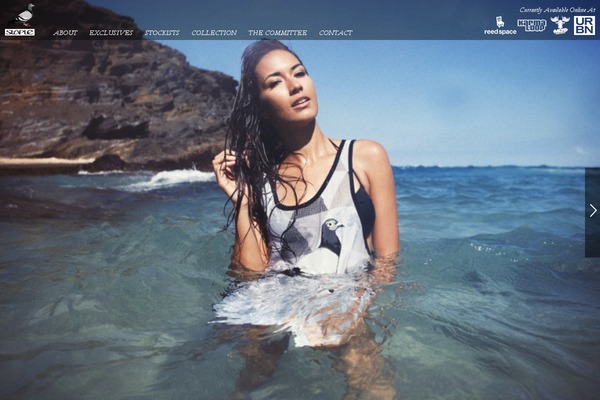 staple WordPress theme, websites list used staple theme staple theme websites examples