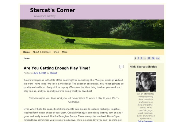 Site using Simple Music Widget plugin