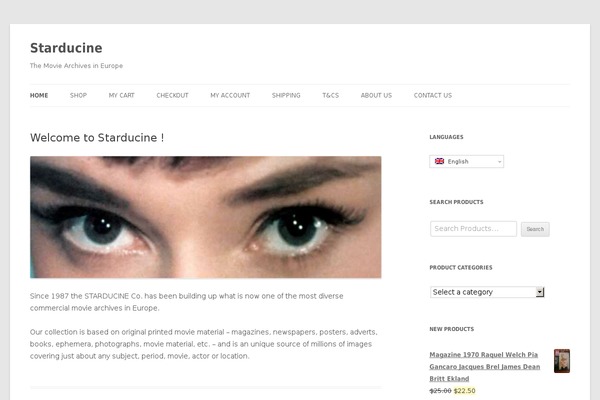 New-york-business theme site design template sample