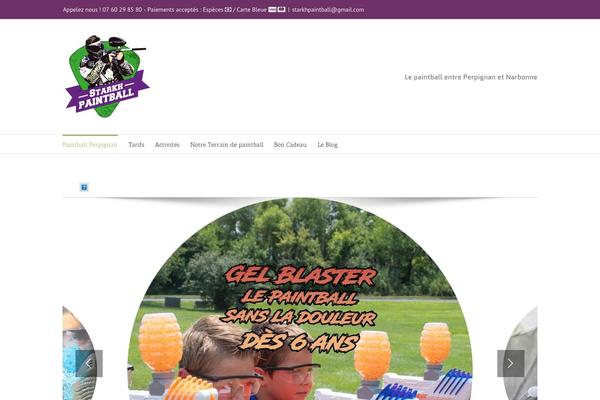Avada theme site design template sample