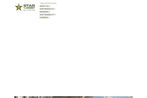 Site using Smartvideo plugin