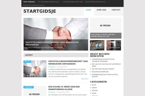 Point theme site design template sample