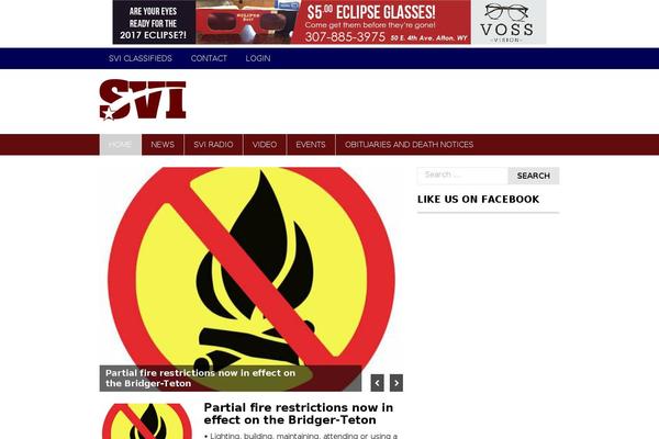 svi theme websites examples