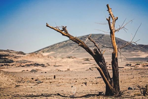 duelmotion theme websites examples