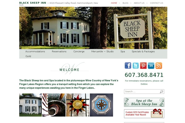 Site using Brizy-pro plugin