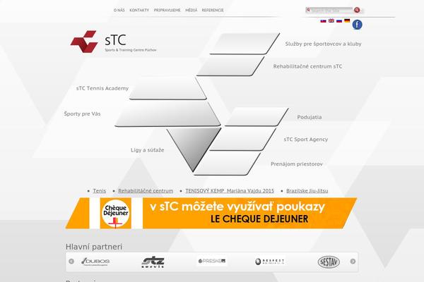 Starflix theme site design template sample