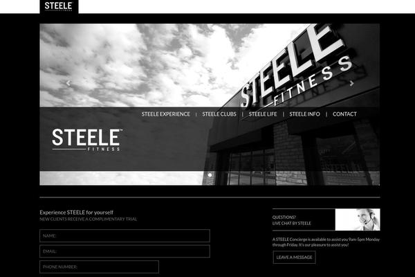steele theme websites examples