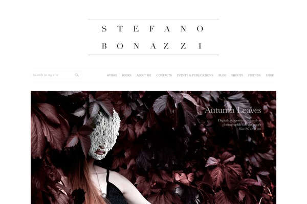 Site using Neat-slider plugin