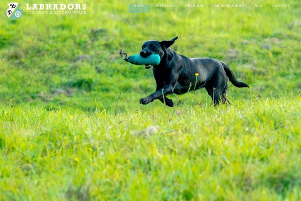 Avada theme site design template sample