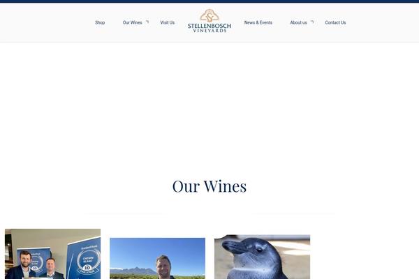 Synergia website example screenshot