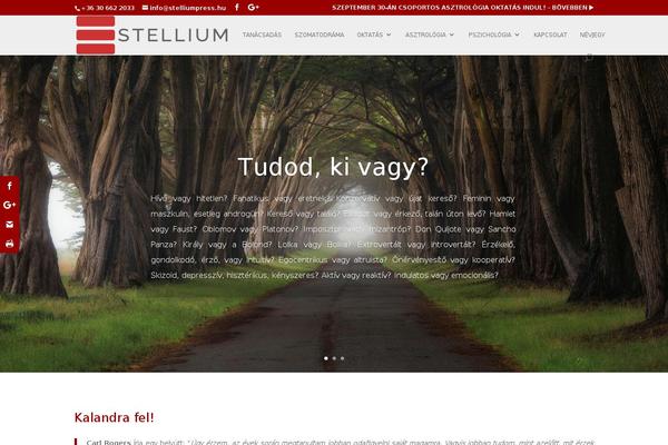 Magbook theme site design template sample