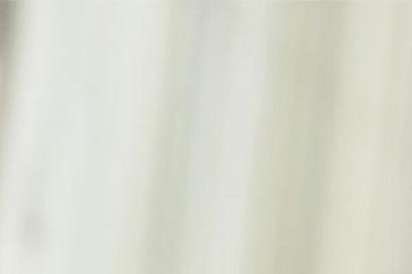 Mydivi-light theme site design template sample