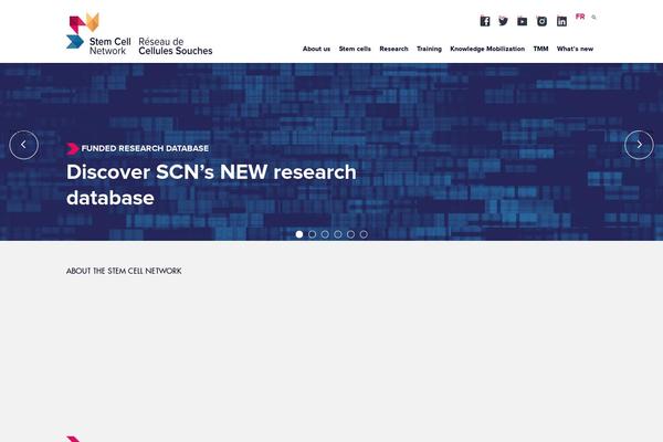 Site using Cs-remove-version-number-from-css-js plugin