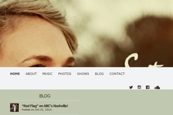 Site using Audiotheme plugin