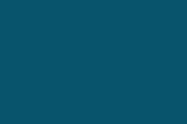 Comet-wp theme site design template sample
