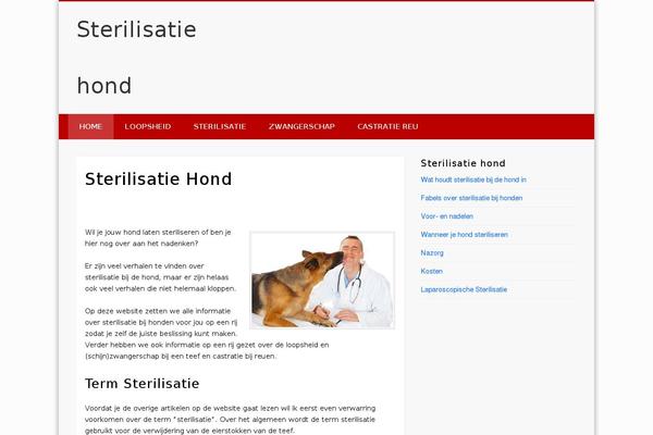 Pinboard Child theme site design template sample