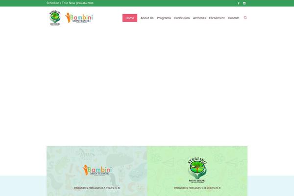 Bambini-child theme site design template sample