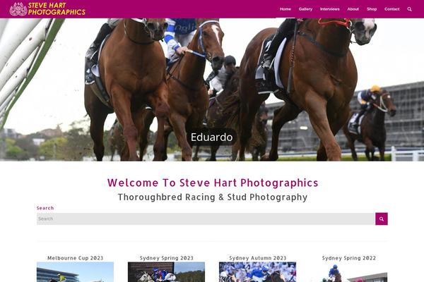 Site using Sell Media plugin