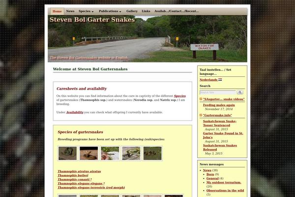 Site using Google Custom Search plugin