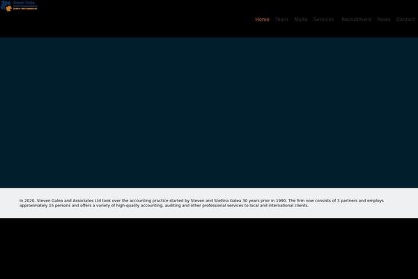 Vamtam-consulting theme site design template sample