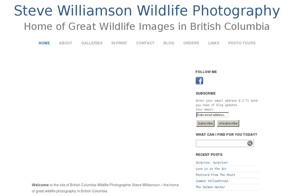 Site using Nextgen-gallery-pro plugin