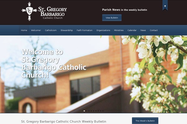 stgregory WordPress theme, websites list used stgregory theme stgregory theme websites examples