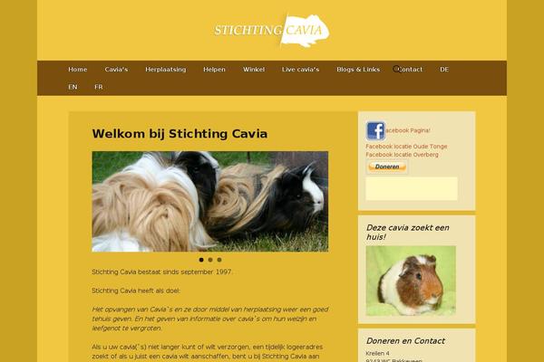 TopShop theme site design template sample
