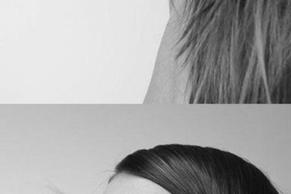 Reversal theme site design template sample