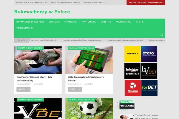 Mts_point_pro theme site design template sample