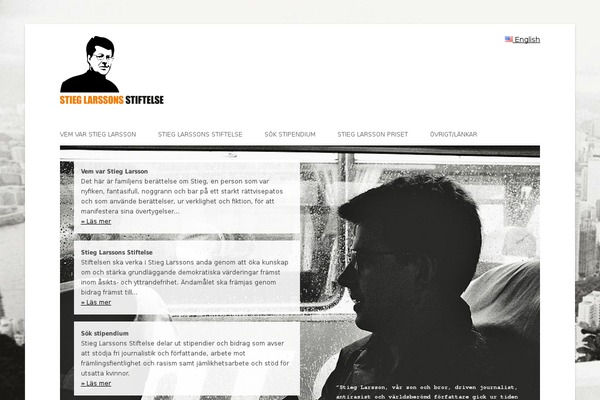 Site using Multisite Language Switcher plugin