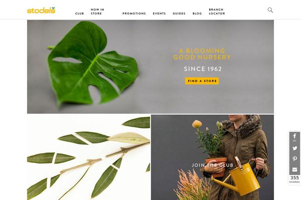 stodels.com site used Dmn-wp-starter