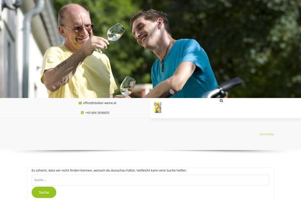 Benzer theme site design template sample