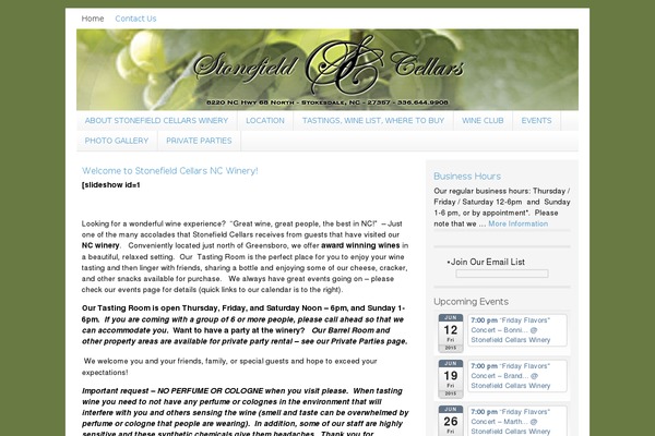 WordPress website example screenshot