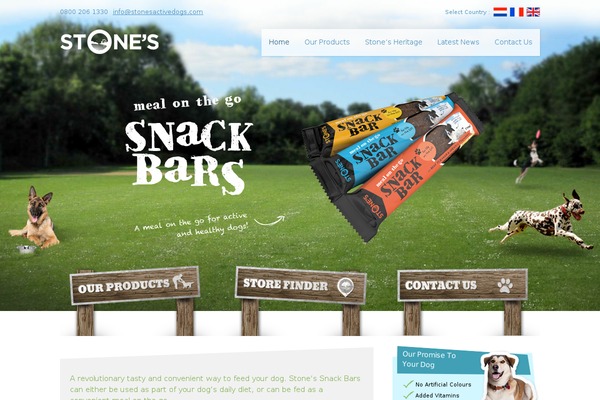 stones theme websites examples