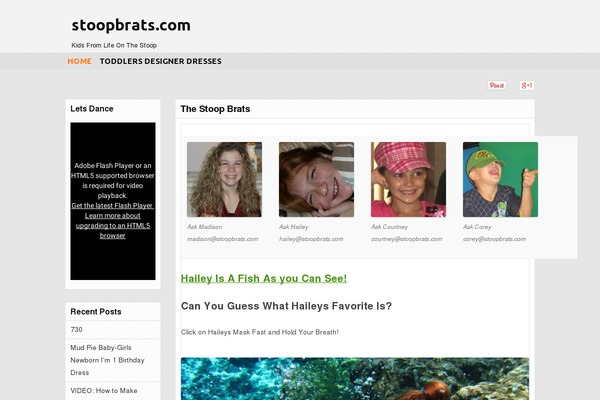 fsb-flexistore-wp theme websites examples