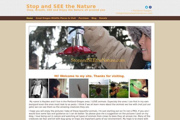 Site using Etsy Shop plugin