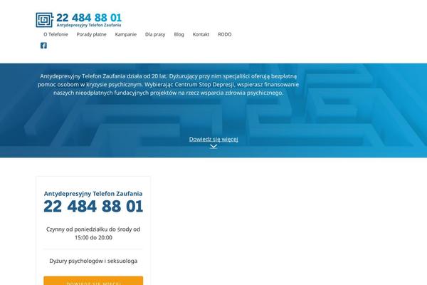 Main theme site design template sample