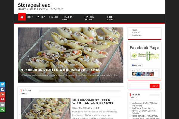 First Mag theme site design template sample