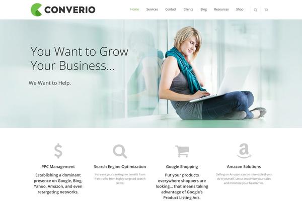 Converio theme site design template sample