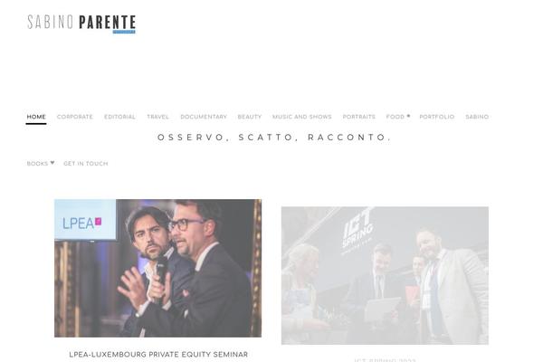Zenit theme site design template sample