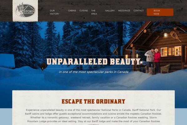Storm theme site design template sample