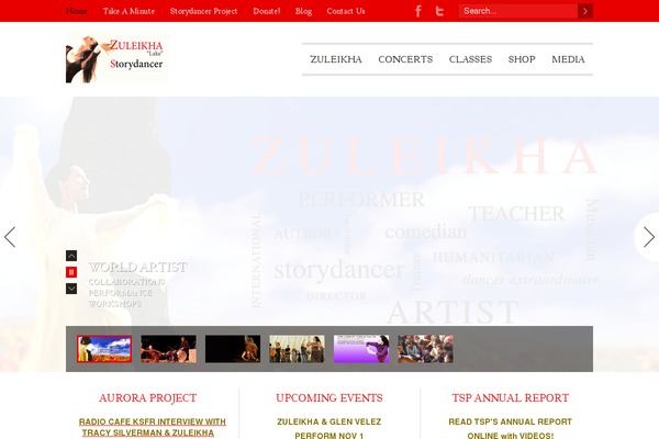 Site using Easy Video Gallery Responsive HTML5 plugin