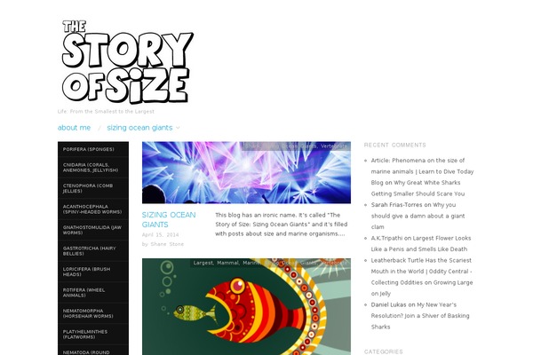 Placid theme site design template sample