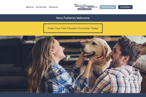 Site using Lifelearn-accessibility plugin