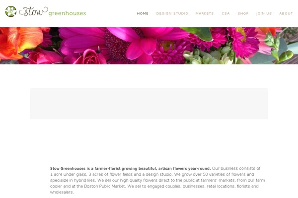 Magnitude theme site design template sample