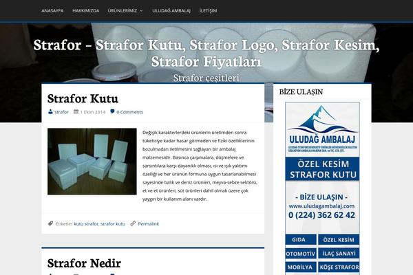 Follet theme site design template sample