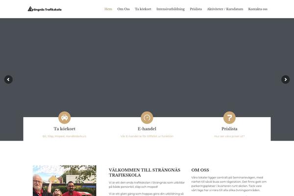 Lawyers Attorneys theme site design template sample