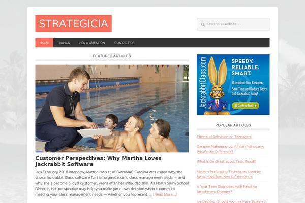 Metro Pro theme site design template sample