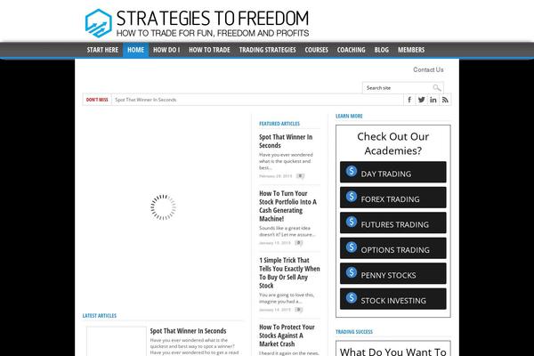Max Mag theme site design template sample